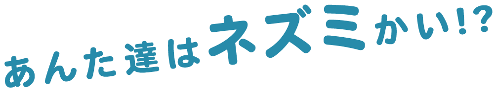 あんた達はネズミかい!?