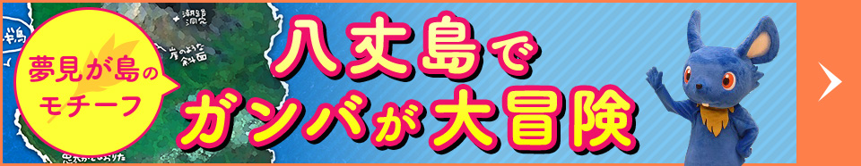 八丈島でガンバが大冒険